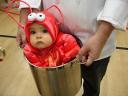 Le bébé homard peut doubler de taille toutes les 10min