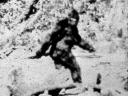 histoire de bigfoot