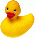 Le mignon petit canard ^^#