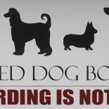 Dogboarding is not a crime
