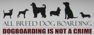 Dogboarding is not a crime