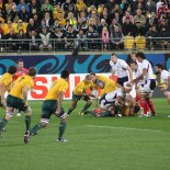 Coupe du Monde de Rugby 2011