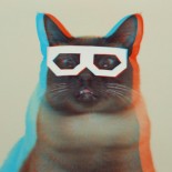 Stereo Skifcha aka Dubstep Cat