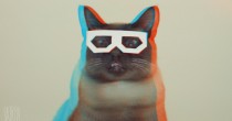 Stereo Skifcha aka Dubstep Cat