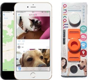 Smartphone pour chien et chat