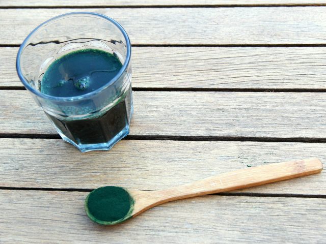 Produire sa spiruline à la maison ? Spiruline, le petit déjeuner des champions !